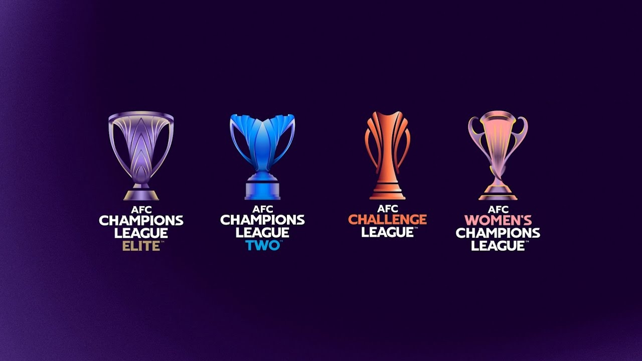 开云体育官网-足协确认下赛季参加亚冠队伍：海港亚冠精英、国安亚冠精英附加赛